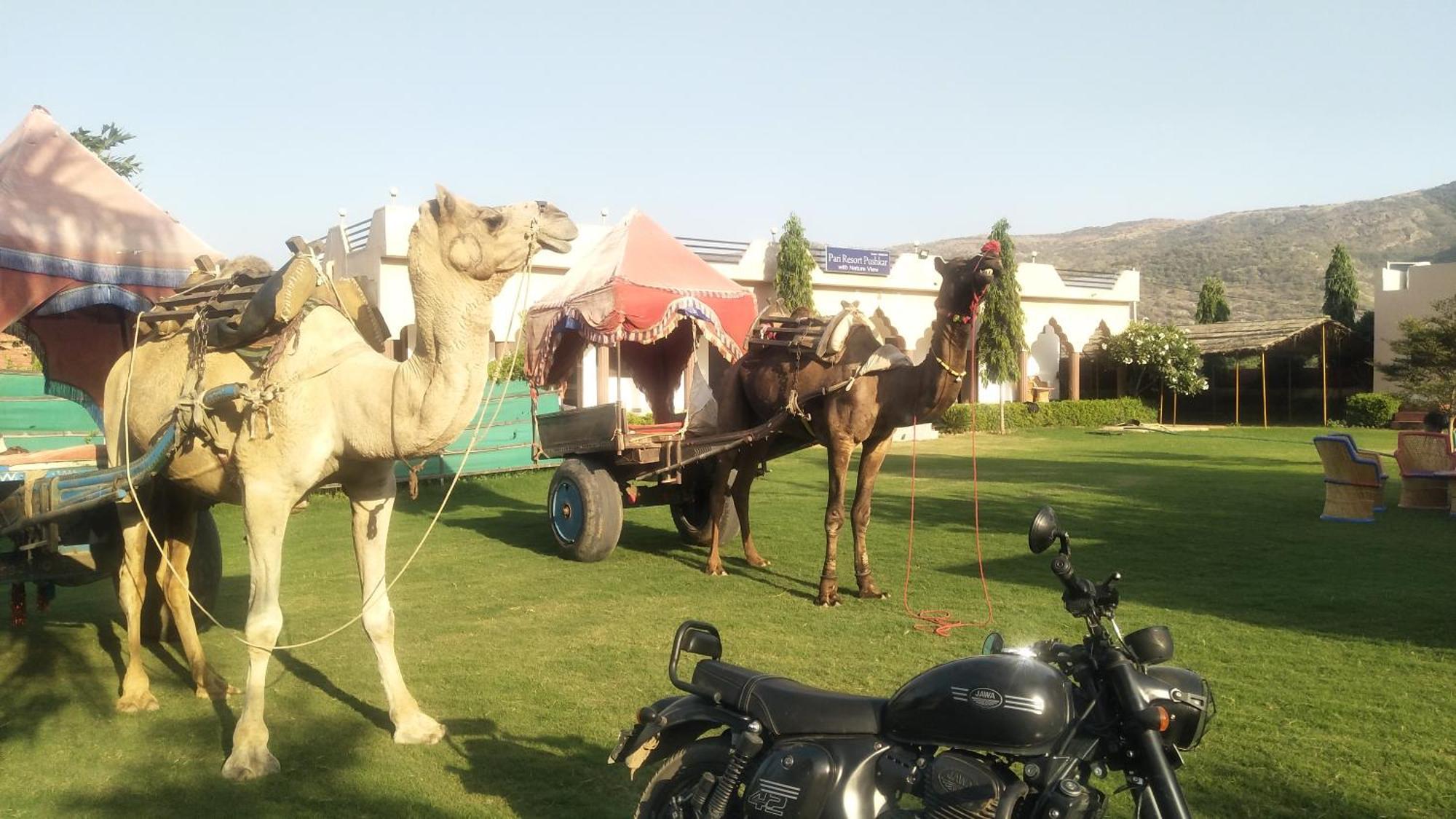 Pari Resort With Nature View Pushkar Dış mekan fotoğraf